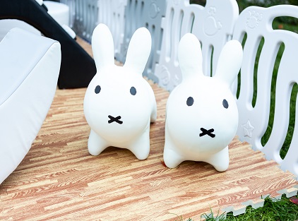 Soft play bunnies