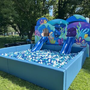 Blue Large Ball Pit (not including slides)