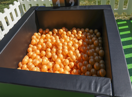 Black Gold - Image 2